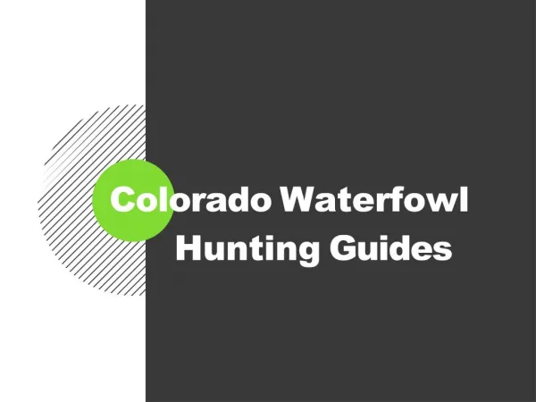 Colorado Waterfowl Hunting Guides