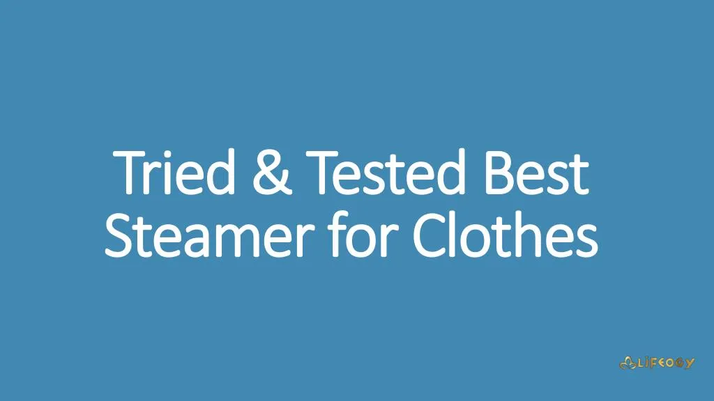 tried tested best steamer for clothes