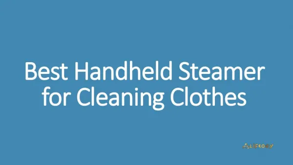 Best Handheld Steamer for Cleaning Clothes