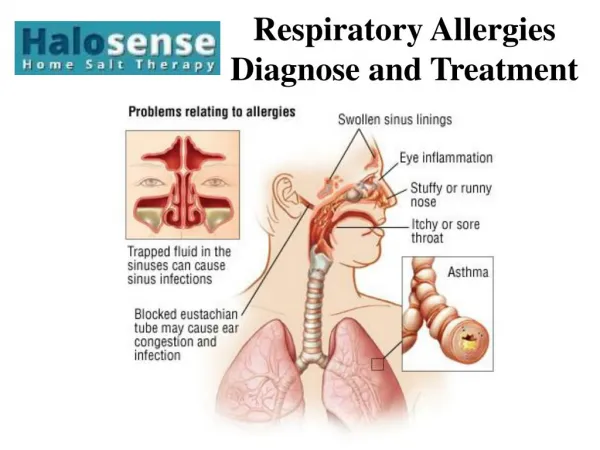 Respiratory Allergies-Diagnose and Treatment