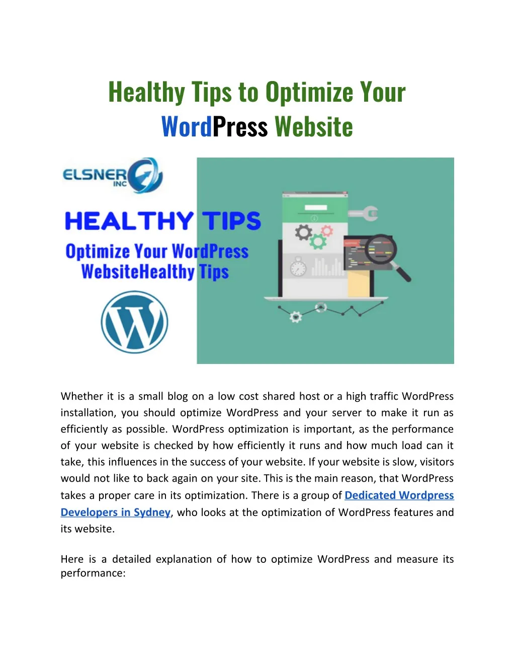healthy tips to optimize your word press website