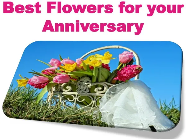 Best Flowers for your Anniversary
