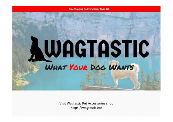 Wagtastic pet accessories shop