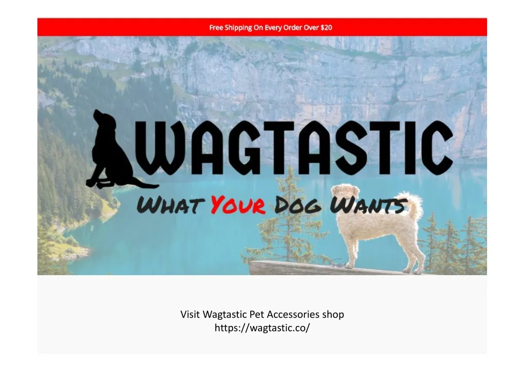 visit wagtastic pet accessories shop https