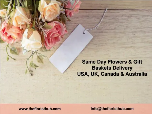 Online Same Day Flowers and Gift Baskets - The Florist Hub