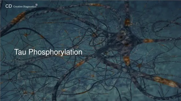 Tau-phosphorylation
