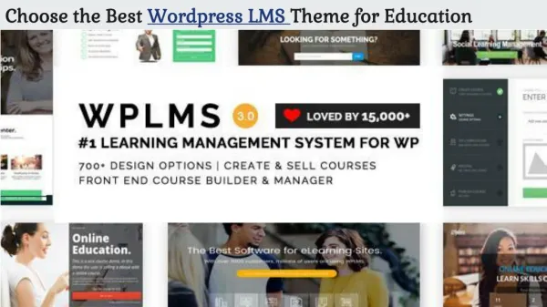 Choose the Best Wordpress LMS Theme for Education
