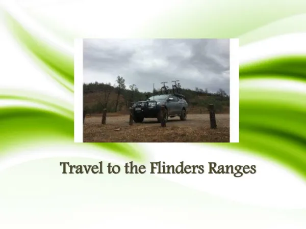 Travel to the Flinders Ranges