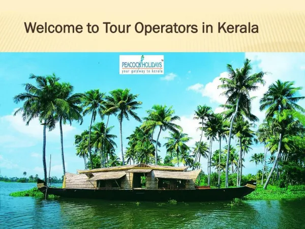 A Gateway To Unforgettable Memories In Honeymoon Tour To Kerala