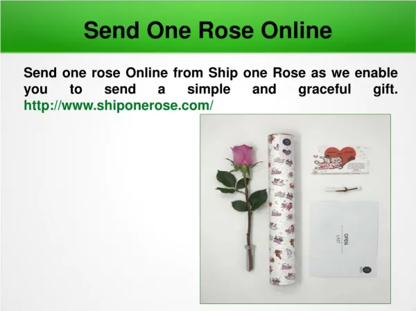 Buy Single Rose Online