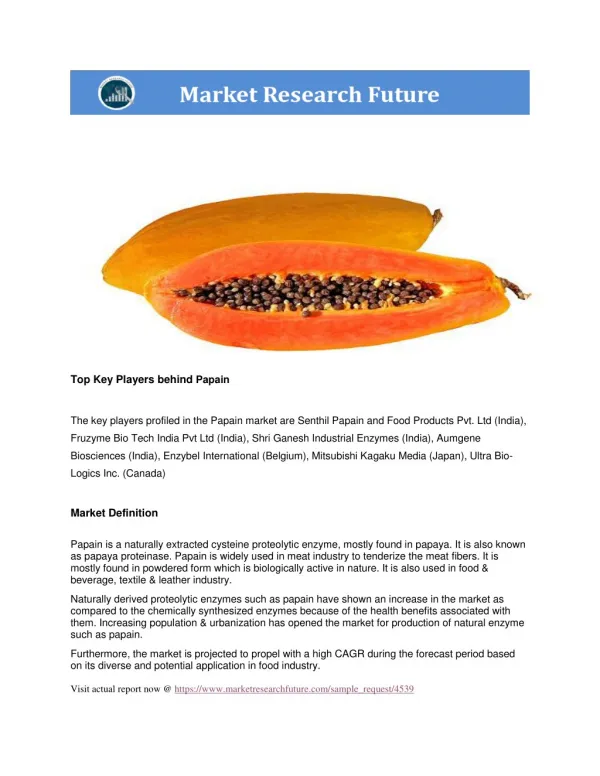 Papain Market report