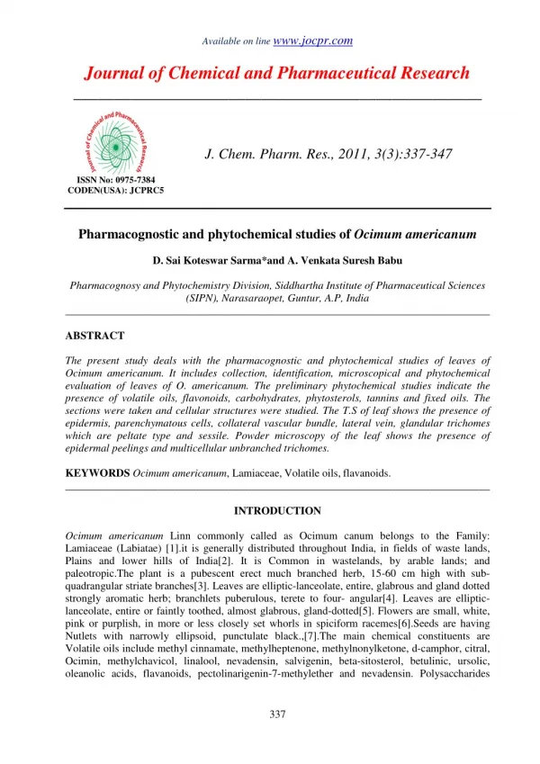 Pharmacognostic and phytochemical studies of Ocimum americanum