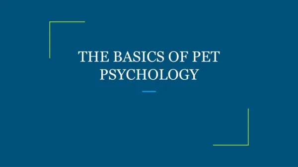 THE BASICS OF PET PSYCHOLOGY