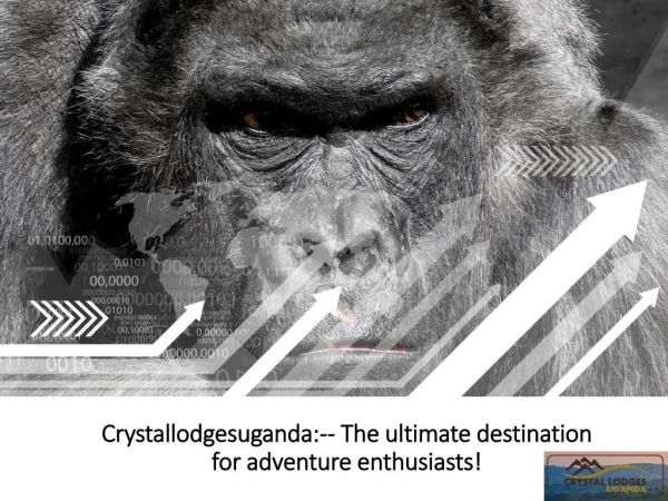 Crystallodgesuganda-- The ultimate destination for adventure enthusiasts!