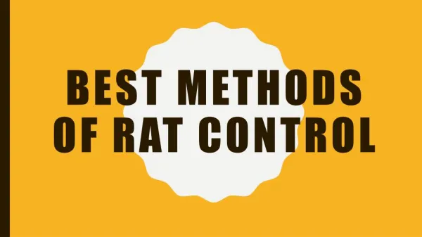 Methods Of Rat Control Services Provider