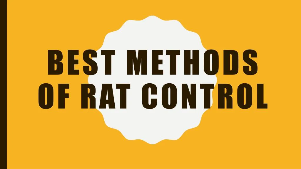 best methods of rat control