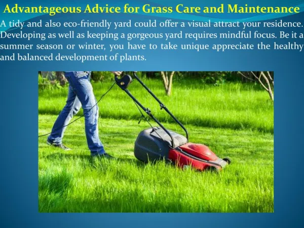 Advantageous Advice for Grass Care and Maintenance
