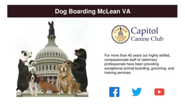 Best Dog Boarding McLean VA