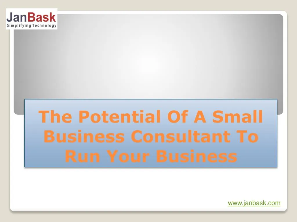 the potential of a small business consultant to run your business