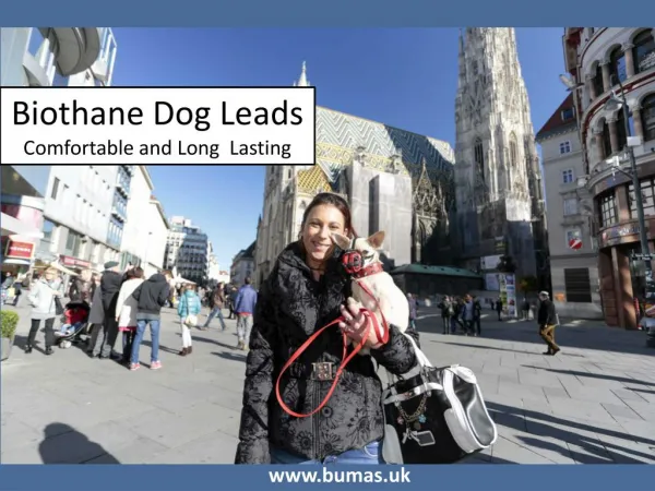 Biothane Dog Leads - Comfortable and Long Lasting