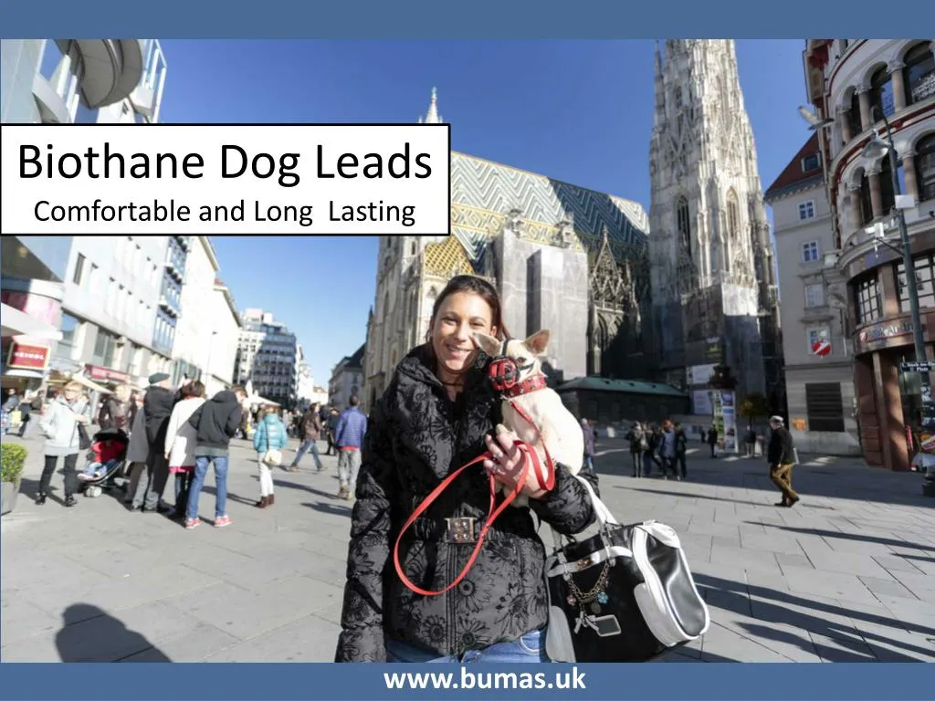biothane dog leads comfortable and long lasting