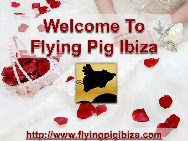 Welcome To Flying Pig Ibiza