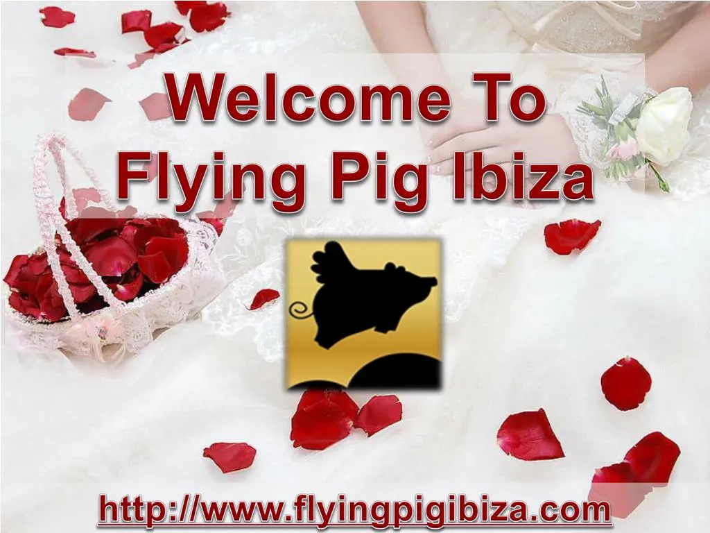 welcome to flying pig ibiza