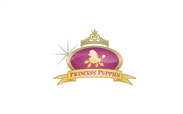 Maltese Puppies For Sale - Oldest European Toy Breed (318-613-2898)