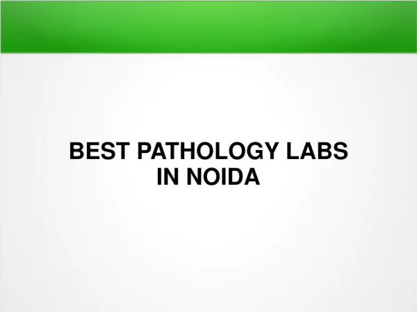 Kidney Function Test in Noida