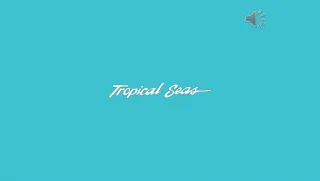 Best Biodegradable Sunscreen Brands, Waterproof Sunscreen (386-677-6161) - slide 1