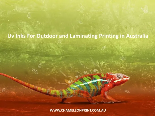 Uv Inks For Outdoor and Laminating Printing in Australia
