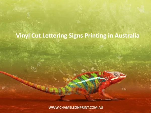 Vinyl Cut Lettering Signs Printing in Australia