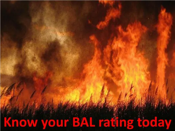Know your BAL rating today
