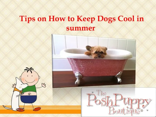 Tips on How to Keep Dogs Cool in summer 