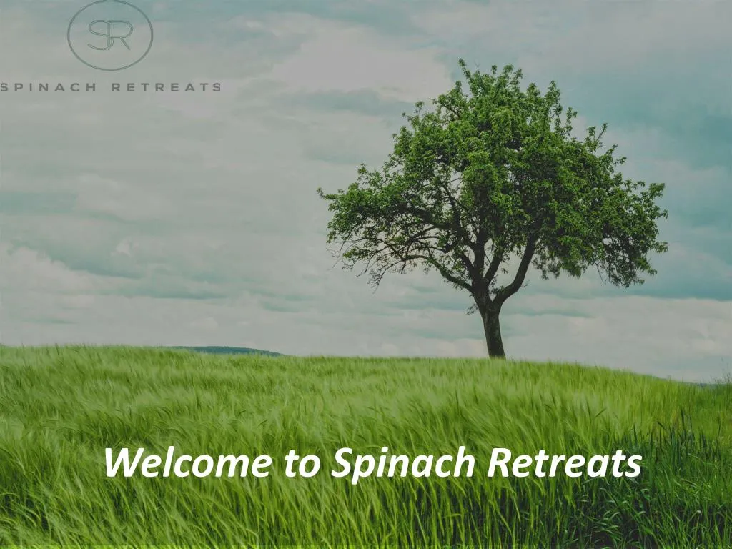 welcome to spinach retreats