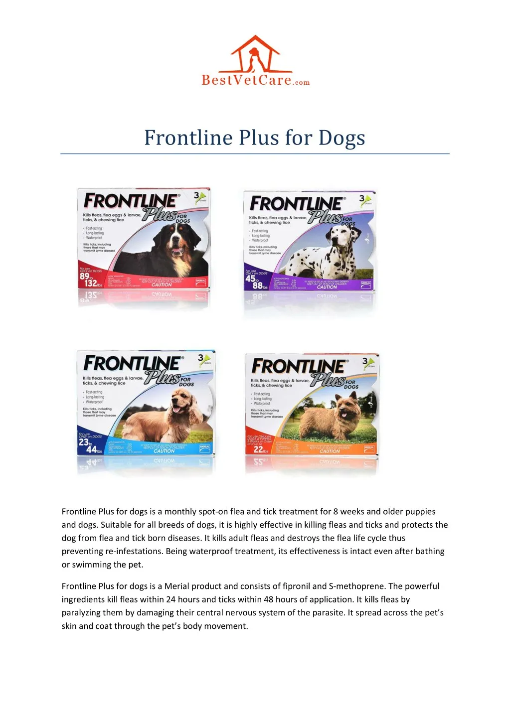 frontline plus for dogs
