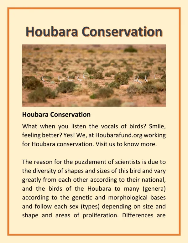 Houbara Conservation