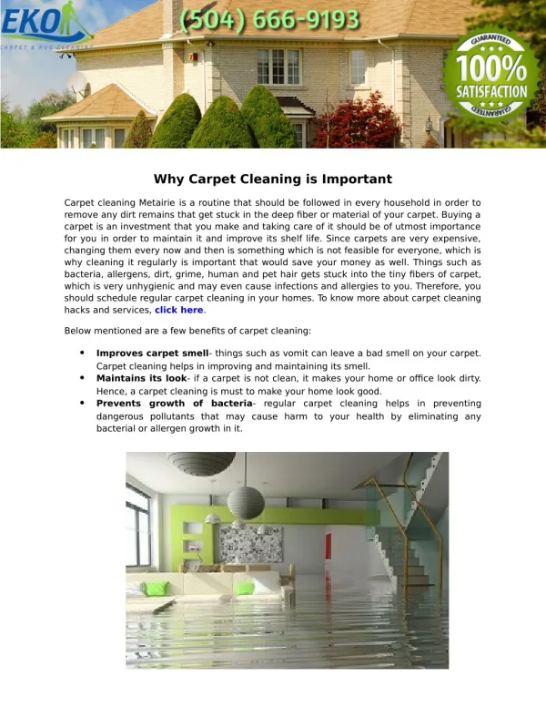 EKO Carpet & Rug Cleaning Metairie