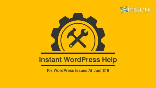 Instant WordPress help | Fix WordPress Issues At just $19 Only