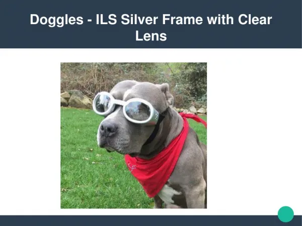 Doggles - ILS Silver Frame with Clear Lens $24.50