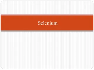 Selenium Training - slide 1