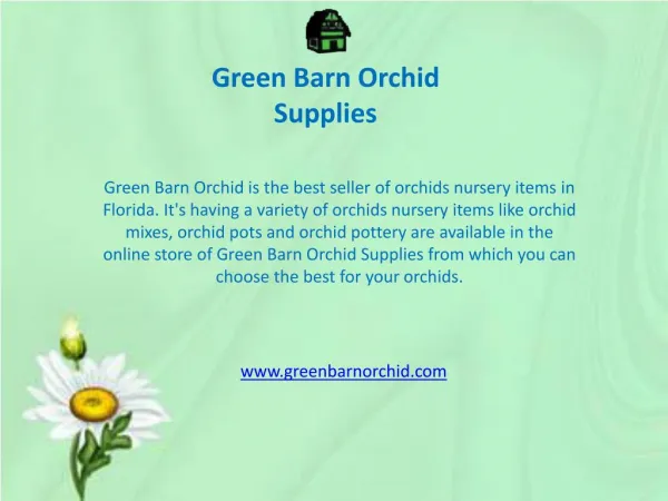 Best Orchid Nursery in Florida