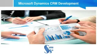 Microsoft Dynamics CRM Development - slide 1