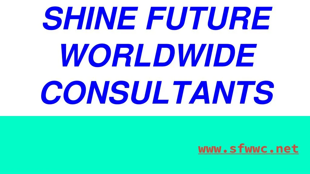 shine future worldwide consultants