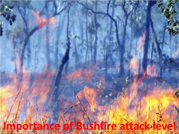 Importance of Bushfire attack level