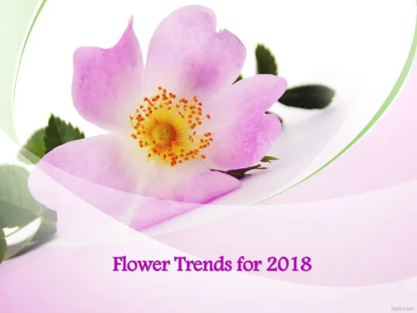 Flower Trends for 2018