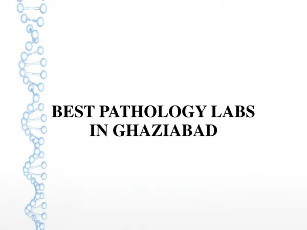 Kidney Function Test in Ghaziabad