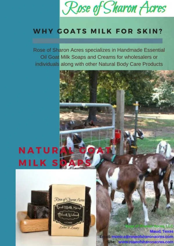 What Make Natural Goat Milk Soaps Different from Others?