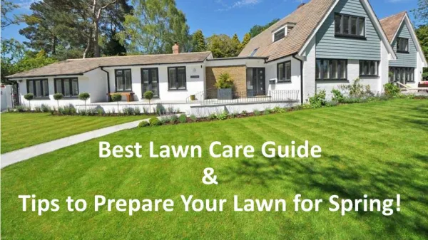 5 Tips to Prepare Your Lawn for Spring