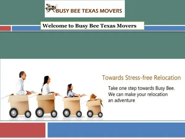Welcome to Busy Texas Bee Movers